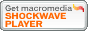 Macromedia Shockwave Player Download Center