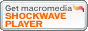 Macromedia Shockwave Player _E[hZ^[