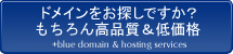 プラスブルーなら簡単に空きドメインを調べることができます
